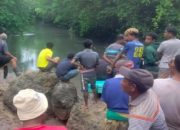 Yulius yang Diterkam Buaya di Loura SBD Telah Ditemukan, Albina Masih Dalam Pencarian 4 Yulius yang Diterkam Buaya di Loura SBD Telah Ditemukan, Albina Masih Dalam Pencarian