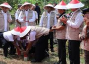 Menteri Nusron Nilai Pemasangan Patok Bisa Tandai Batas Tanah APL dengan Non-APL 20 Menteri Nusron Nilai Pemasangan Patok Bisa Tandai Batas Tanah APL dengan Non-APL