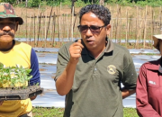 Penyuluh Pertanian Wewewa Barat Sebut Kebutuhan Dapur MBG Tersedia di Petani 11 Penyuluh Pertanian Wewewa Barat Sebut Kebutuhan Dapur MBG Tersedia di Petani
