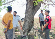 Pemilik Tanah di Desa Susu Wendewa Desak Polres Sumba Barat Tangkap Pelaku Penyerangan 9 Pemilik Tanah di Desa Susu Wendewa Desak Polres Sumba Barat Tangkap Pelaku Penyerangan